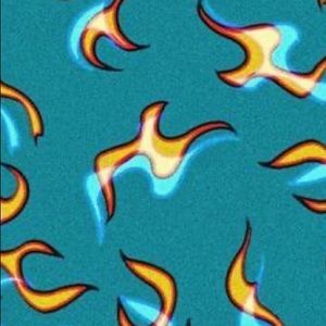 Meet your Posher, Bree